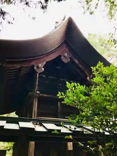大宝八幡宮の本殿・本堂