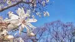 神明社（国府宮神明社）の自然