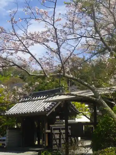 浄光明寺の山門