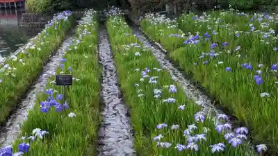 長岡天満宮(京都府)