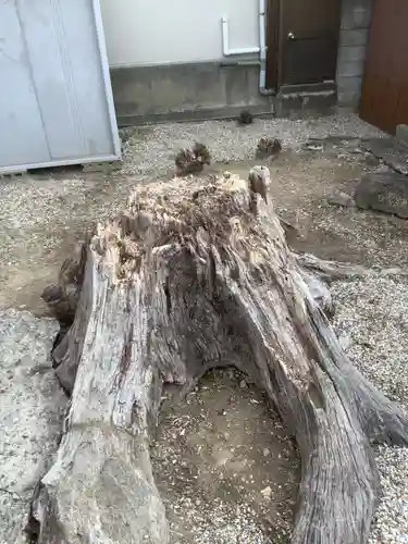 白龍神社の庭園