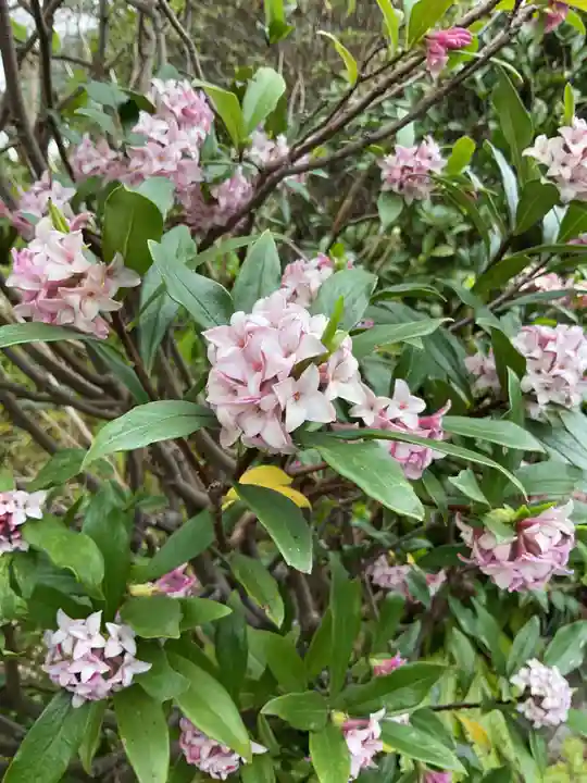 護国之寺(岐阜県)