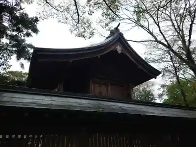大井神社の本殿・本堂
