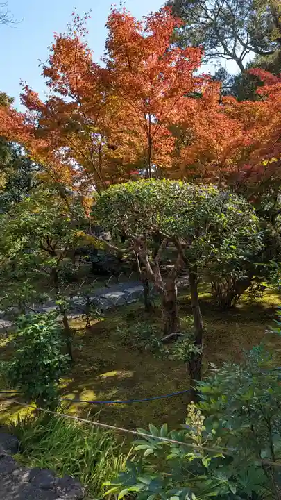 法寳閣檀林寺(京都府)