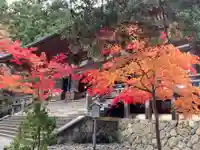 神護寺の本殿・本堂