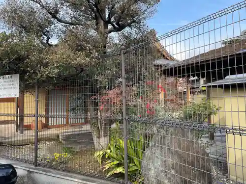 地蔵院(京都府)