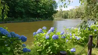 月寒神社の周辺