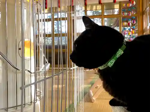 高司神社〜むすびの神の鎮まる社〜(福島県)