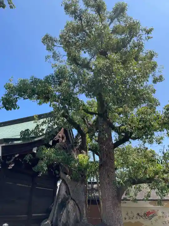石清尾八幡宮(香川県)