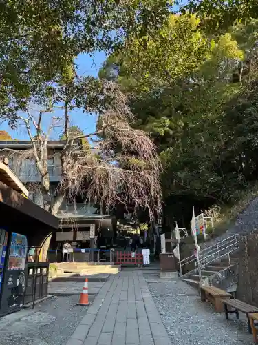 久能山東照宮の{uncategorized: "未分類", other: "その他", undefined: "問題あり", building: "その他建物", grave: "お墓", sacred_gate: "鳥居", guardian: "狛犬", statue: "像", buddha: "仏像", history: "歴史", nature: "自然", garden: "庭園", animal: "動物", pagoda: "塔", temizu: "手水舎", mountain_gate: "山門・神門", sanctuary: "本殿・本堂", subordinate: "末社・摂社", art: "芸術", scenery: "景色", jizo: "地蔵", ema: "絵馬", goshuin: "御朱印", omikuji: "おみくじ", items: "授与品その他", amulet: "お守り", goshuincho: "御朱印帳", eats: "食事", festival: "お祭り", votive_dance: "神楽", shichigosan: "七五三参", wedding: "結婚式", experience: "体験その他", initially: "初詣", around: "周辺", anti_infection: "感染症対策"}