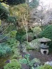 報国寺の庭園