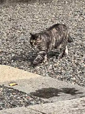 女塚神社(東京都)