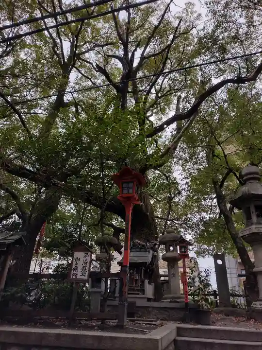 若一神社の自然