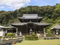 三室戸寺の本殿・本堂