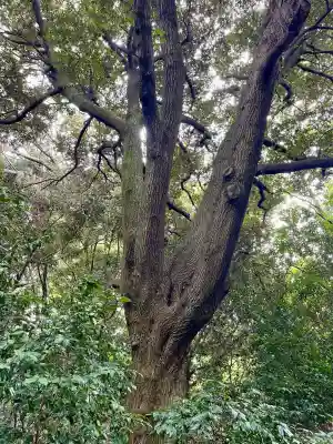 白龍弁財天社(雷電神社末社)(群馬県)