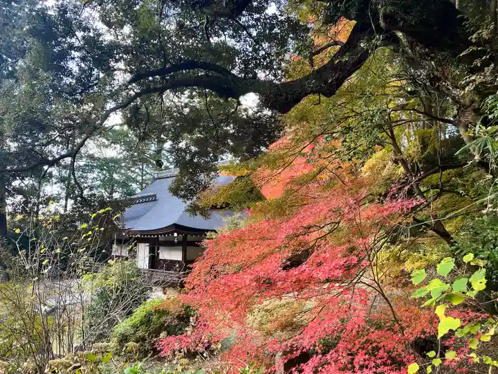 弘川寺(大阪府)