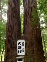 若狭彦神社（上社）の自然