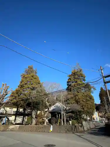 祐照庵　大戸観音堂(東京都)