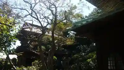 英勝寺のその他建物