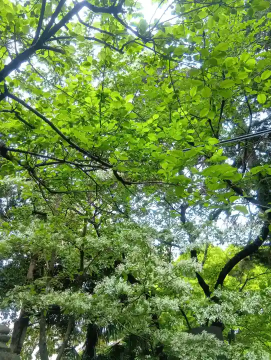 加納天満宮(岐阜県)