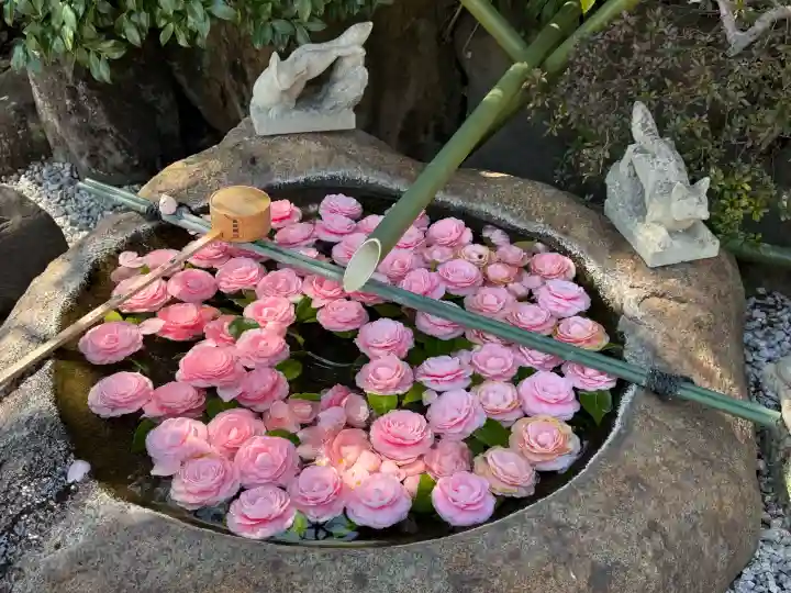 東京羽田 穴守稲荷神社の{uncategorized: "未分類", other: "その他", undefined: "問題あり", building: "その他建物", grave: "お墓", sacred_gate: "鳥居", guardian: "狛犬", statue: "像", buddha: "仏像", history: "歴史", nature: "自然", garden: "庭園", animal: "動物", pagoda: "塔", temizu: "手水舎", mountain_gate: "山門・神門", sanctuary: "本殿・本堂", subordinate: "末社・摂社", art: "芸術", scenery: "景色", jizo: "地蔵", ema: "絵馬", goshuin: "御朱印", omikuji: "おみくじ", items: "授与品その他", amulet: "お守り", goshuincho: "御朱印帳", eats: "食事", festival: "お祭り", votive_dance: "神楽", shichigosan: "七五三参", wedding: "結婚式", experience: "体験その他", initially: "初詣", around: "周辺", anti_infection: "感染症対策"}