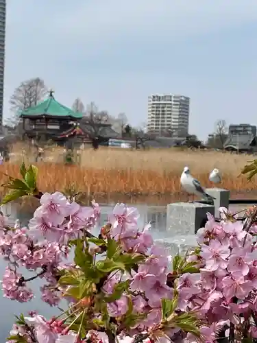 寛永寺不忍池弁天堂(東京都)