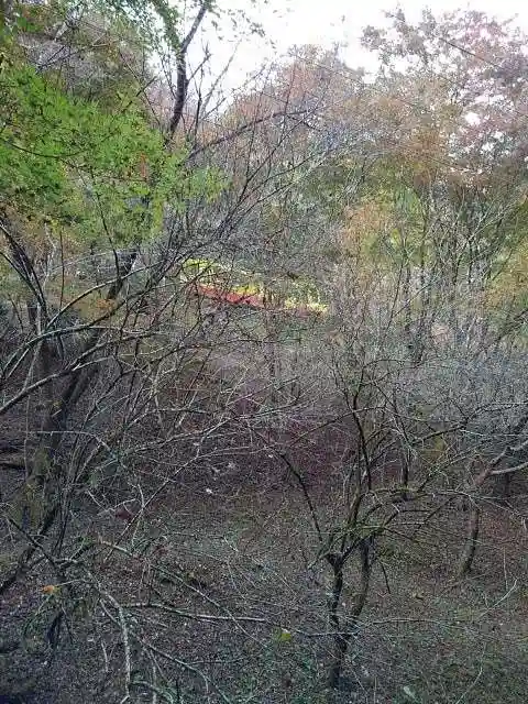 高尾山藥王院別院不動院の周辺