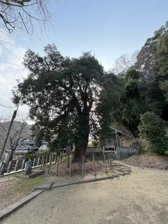 四所神社の{uncategorized: "未分類", other: "その他", undefined: "問題あり", building: "その他建物", grave: "お墓", sacred_gate: "鳥居", guardian: "狛犬", statue: "像", buddha: "仏像", history: "歴史", nature: "自然", garden: "庭園", animal: "動物", pagoda: "塔", temizu: "手水舎", mountain_gate: "山門・神門", sanctuary: "本殿・本堂", subordinate: "末社・摂社", art: "芸術", scenery: "景色", jizo: "地蔵", ema: "絵馬", goshuin: "御朱印", omikuji: "おみくじ", items: "授与品その他", amulet: "お守り", goshuincho: "御朱印帳", eats: "食事", festival: "お祭り", votive_dance: "神楽", shichigosan: "七五三参", wedding: "結婚式", experience: "体験その他", initially: "初詣", around: "周辺", anti_infection: "感染症対策"}