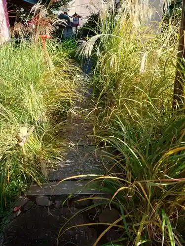 大島稲荷神社の自然