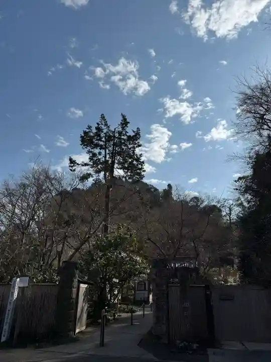 明月院(神奈川県)