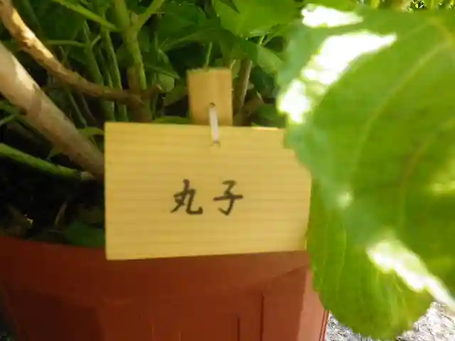 長谷寺のその他建物