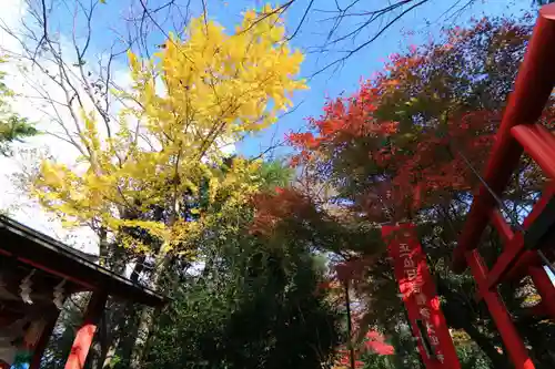 日吉神社の末社