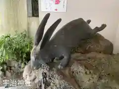 宇治神社の動物