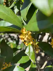 大鏑神社(福島県)(2022年09月29日(木) 11時16分23秒投稿)