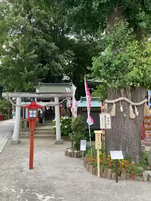 川越八幡宮(埼玉県)