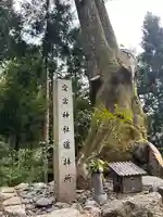 八幡神社(福井県)