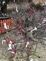 白鬚神社(滋賀県)