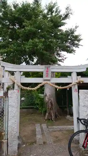 寺田稲荷神社の鳥居