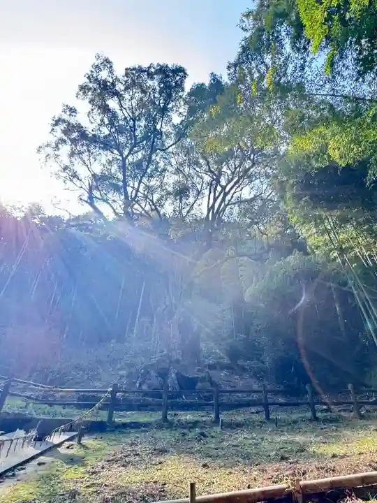 武雄神社の{uncategorized: "未分類", other: "その他", undefined: "問題あり", building: "その他建物", grave: "お墓", sacred_gate: "鳥居", guardian: "狛犬", statue: "像", buddha: "仏像", history: "歴史", nature: "自然", garden: "庭園", animal: "動物", pagoda: "塔", temizu: "手水舎", mountain_gate: "山門・神門", sanctuary: "本殿・本堂", subordinate: "末社・摂社", art: "芸術", scenery: "景色", jizo: "地蔵", ema: "絵馬", goshuin: "御朱印", omikuji: "おみくじ", items: "授与品その他", amulet: "お守り", goshuincho: "御朱印帳", eats: "食事", festival: "お祭り", votive_dance: "神楽", shichigosan: "七五三参", wedding: "結婚式", experience: "体験その他", initially: "初詣", around: "周辺", anti_infection: "感染症対策"}