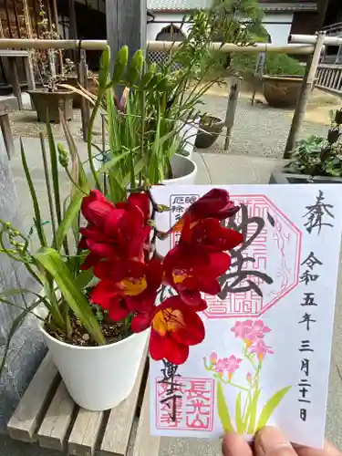 妙蓮寺(神奈川県)