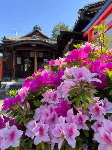 崇道天皇社(奈良県)