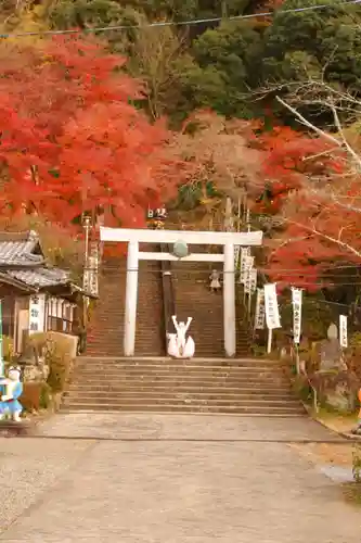 桃太郎神社（栗栖）(愛知県)