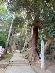 日吉神社の建物その他