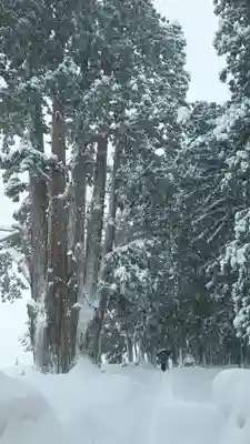 矢放神社(新潟県)