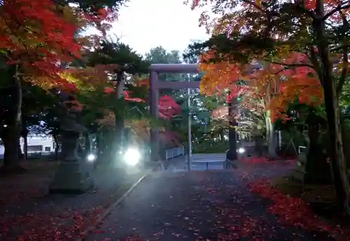 北広島市総鎮守　廣島神社の鳥居