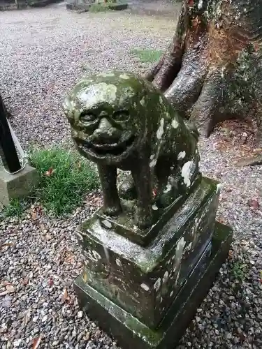 間々田八幡宮の狛犬