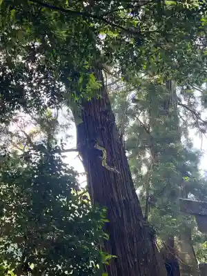高岡神社(岡山県)