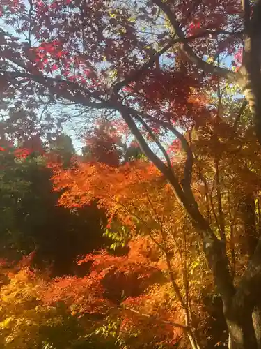 北野天満宮(京都府)
