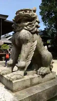 智恩寺の狛犬