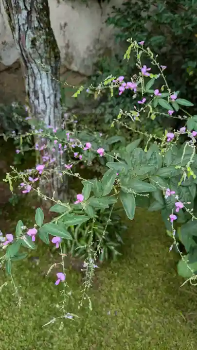 尊陽院(京都府)